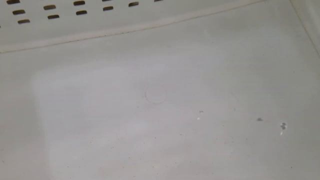 Assasi Trigger $319 - Red Sea смотреть онлайн