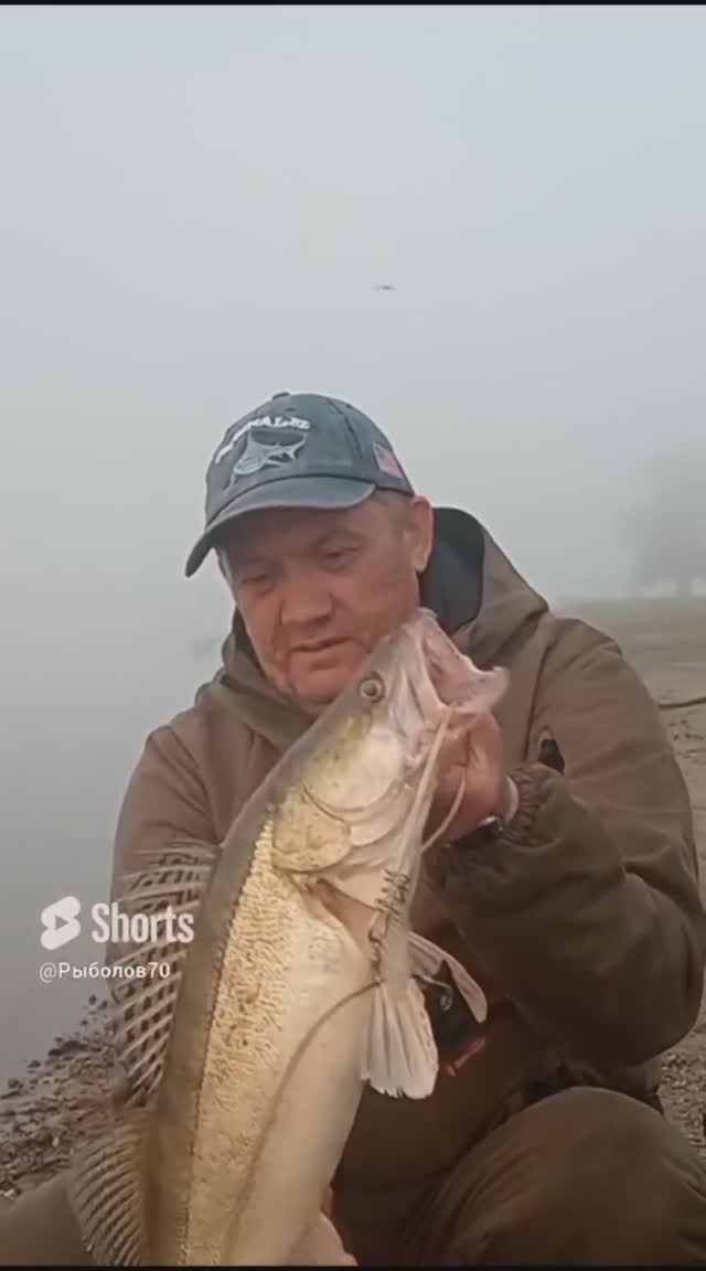 ЛОВЛЯ СУДАКА НА РЕЗИНКУ С БЕРЕГА! смотреть онлайн