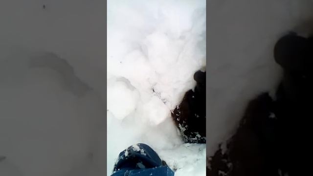 спасение кота от банки смотреть онлайн