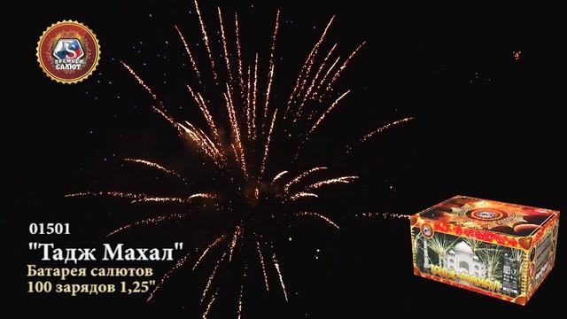 01501 Тадж-Махал 100 залпов смотреть онлайн