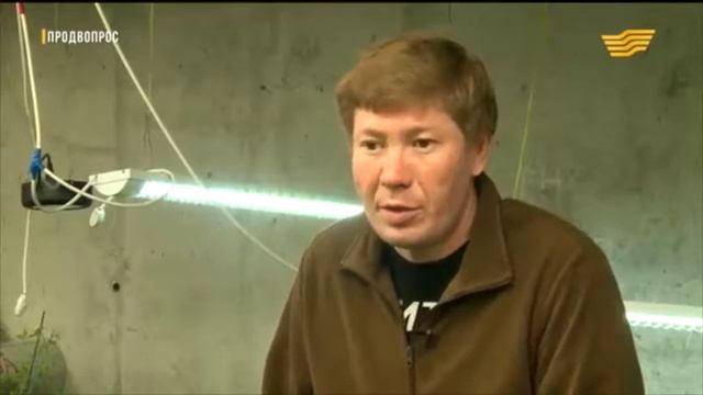 Пестициды смотреть онлайн