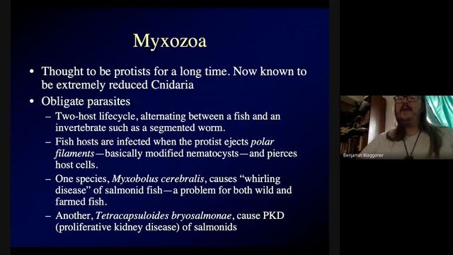BIOL 4461, Lecture 6a, 9/21/2020 смотреть онлайн