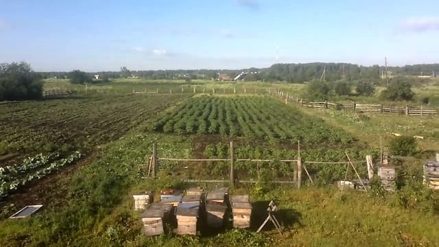 07072017007 смотреть онлайн