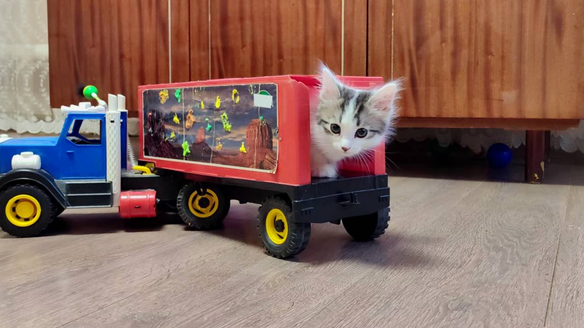 Счастливые котята и детский грузовик. Мама кошки присматривает за котятами. смотреть онлайн