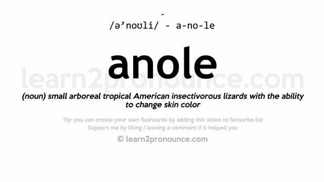 Pronunciation of Anole | Definition of Anole смотреть онлайн