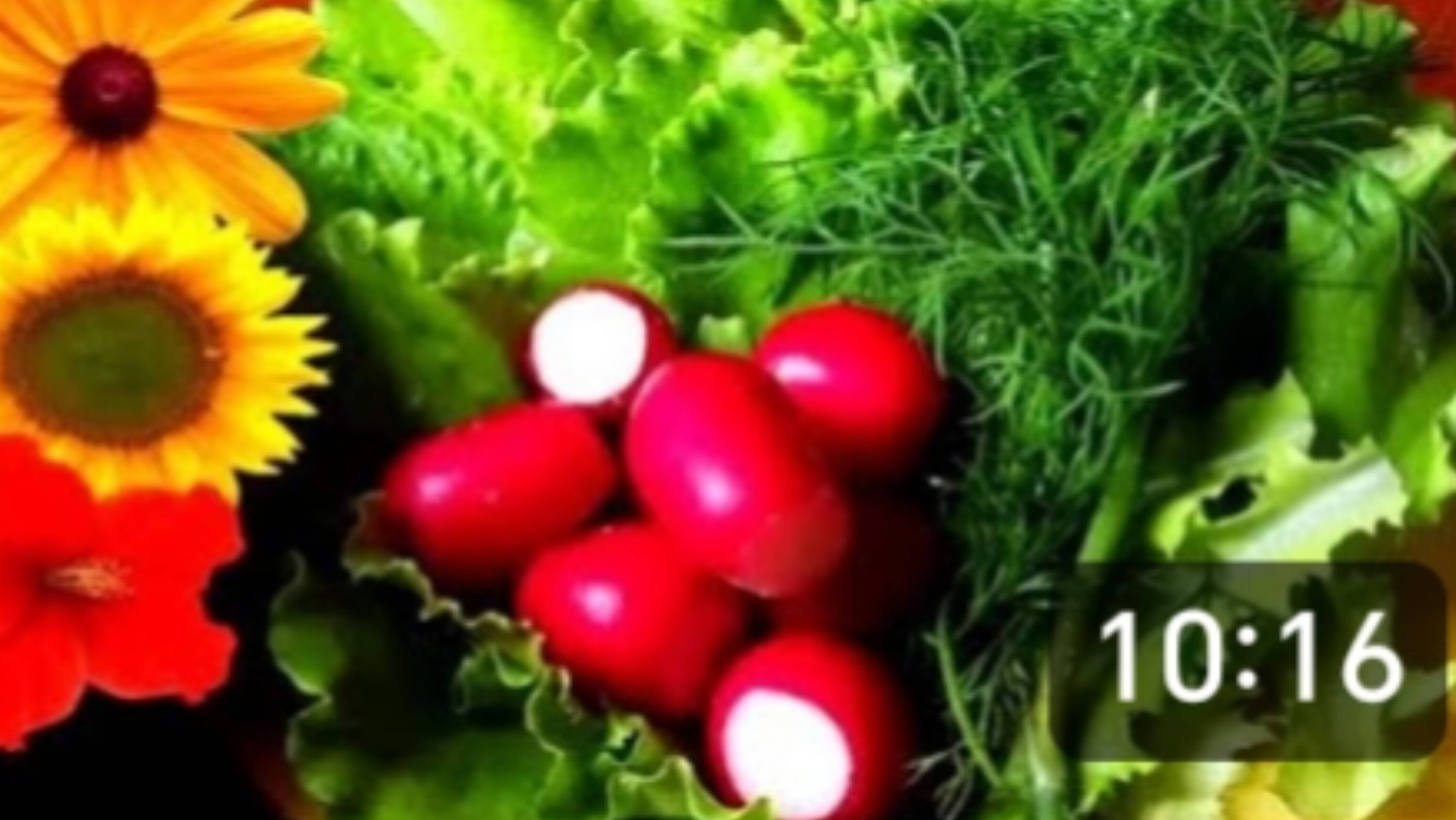 Деревня. Неужели мы нашли своего кота? Опять дождь мешает нам полоть. смотреть онлайн