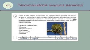 ВПР 7 класс Биология_2025 № 3