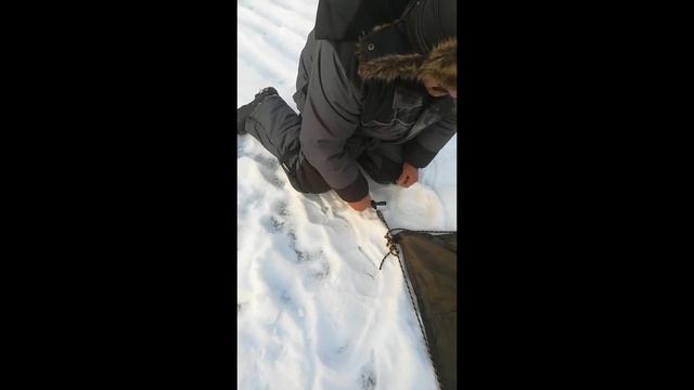 Очередной выход на Волково 10.12.22 смотреть онлайн