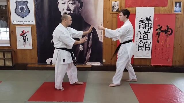 stopping karate attack / Ko Nan Ji Zai natural hardness and softness BUDO ACADEMY / Uechi ryu Karat смотреть онлайн