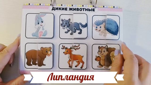 Половинки