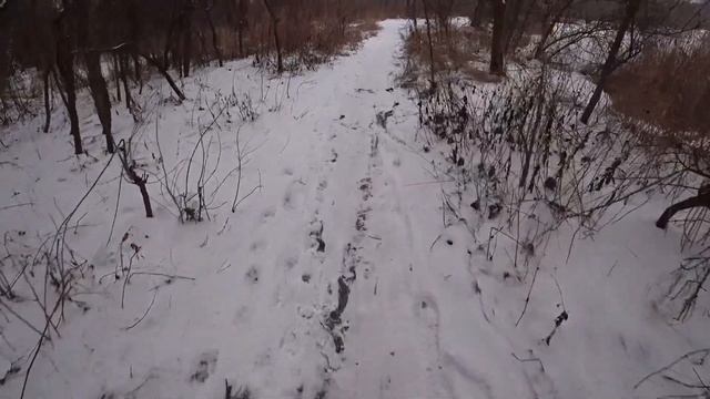 Зимова риболовля в Києві. Відкрив сезон. Рибалка Київ 2023 смотреть онлайн