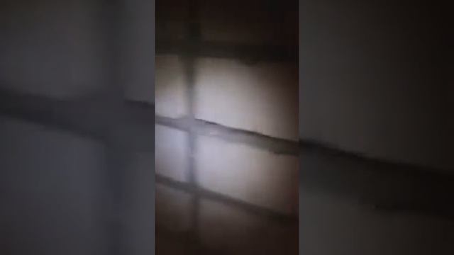 Большие тараканы атакуют смотреть онлайн