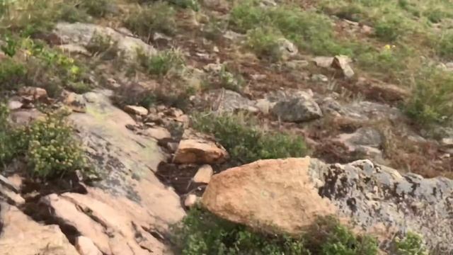 Мохнатуха. Шемонаиха. Май 2022. смотреть онлайн