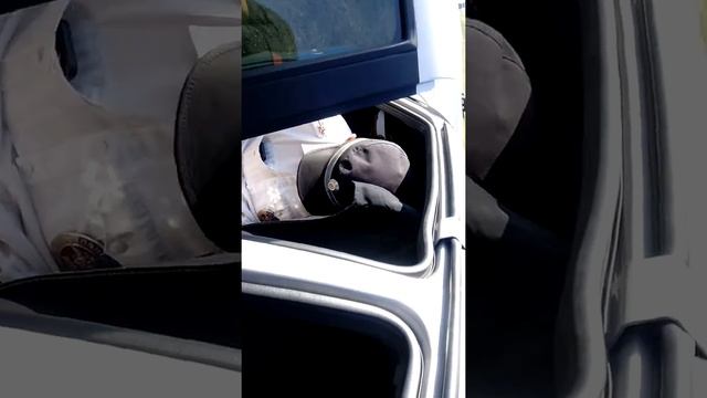 Беспредел саратовского ДПС смотреть онлайн