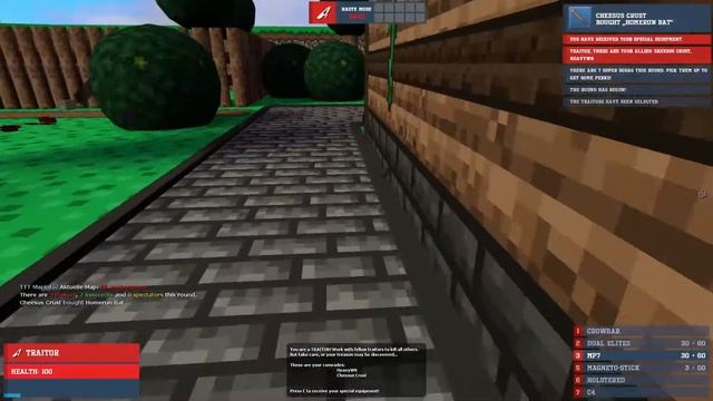 Trouble in Terrorist Town 254 Shahin der Schlingel versteckt sich смотреть онлайн