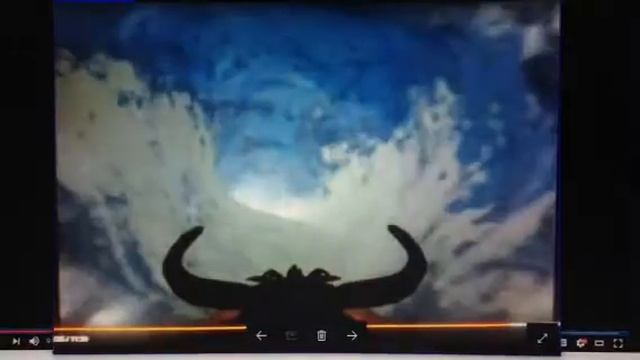 Timon And Pumbaa's Virtual Safari 1.5 Forword and Backword смотреть онлайн