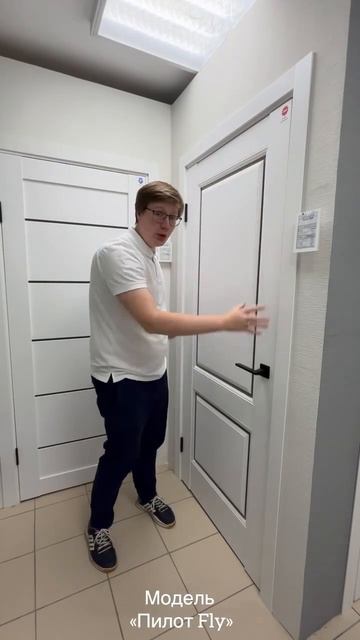 МЕЖКОМНАТНАЯ ДВЕРЬ "Пилот Fly" СТИЛЬНОЕ ИНТЕРЬЕРНОЕ РЕШЕНИЕ В ДОМ смотреть онлайн