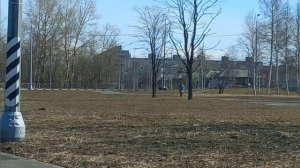 16/5 24 ОТКИНУЛИ ЛАСТЫ. ОБМАНУЛИ В МАГНИТЕ. ПОЛЗАЕТ ПО ЗАБОРАМ. В ДЫРКУ НЕ ВЛЕЗЛА. ШАЙТАН - МАШИНА.