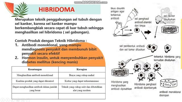 Bioteknologi kelas 9 смотреть онлайн