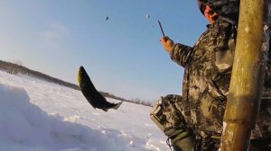 РЫБАЛКА в ручьях тундры на ПРОСТЫЕ САМОЛОВКИ. Форель зимой.