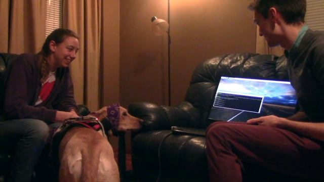 Alma the Talking Dog - Trial Footage смотреть онлайн