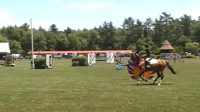 Donatello 6th Place 1.25m (SOLD)