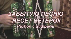 Забытую песню несет ветерок. (028 гармонь с цифрами)
