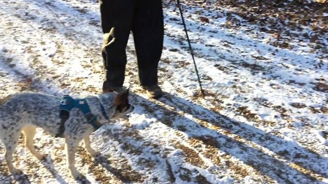 Lilo's First Snow + Great Falls Hike смотреть онлайн