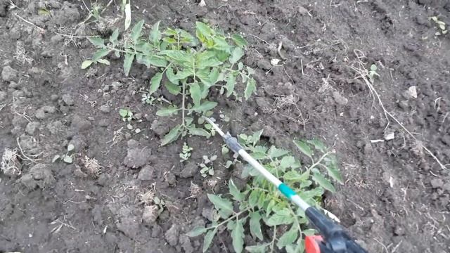 подкормка под корень. смотреть онлайн