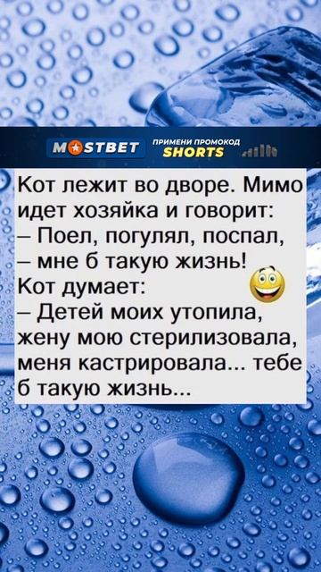 😩 Жизнь кота 😝 #юморы #анекдотыы #анекдоты #прикол #смех #топ #тикток #мем #рекомендации смотреть онлайн