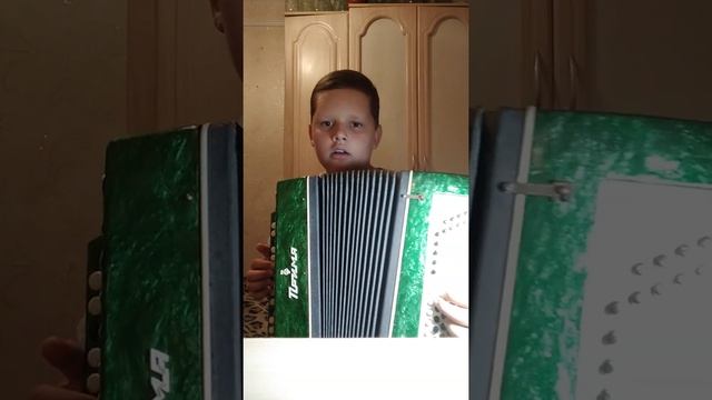1 урок по баяну-Весёлые гуси смотреть онлайн