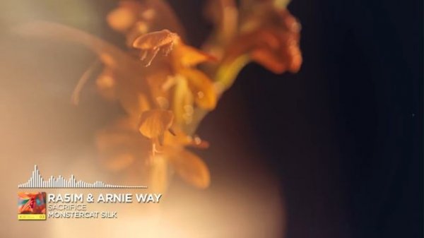 Silk Selections 03_Melodic House