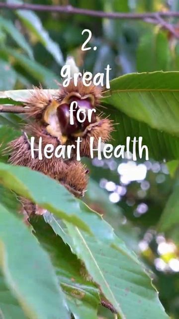 3 Health Benefits You Should Know About Chestnuts| Eat Vegan #shorts
