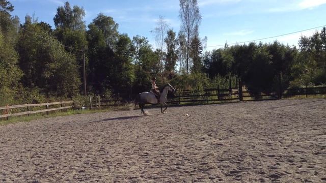 Video 26 08 13 17 19 11 смотреть онлайн