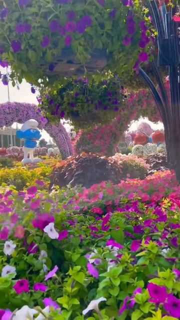 Цветущий сад в Дубае 🇦🇪 ОАЭ 🇦🇪 Дубай 🇦🇪 Dubai смотреть онлайн