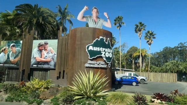 A Day in Brisbane and Australia Zoo смотреть онлайн