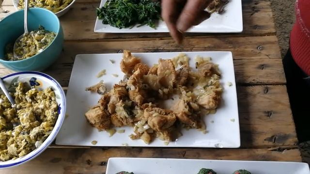 A glimpse of my foraging workshops in Poland смотреть онлайн