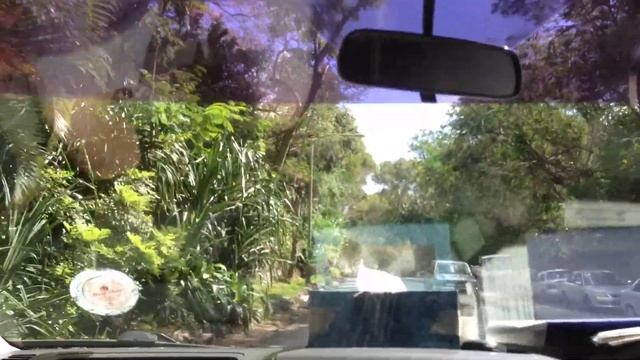 Барбадос Виллы Знаменитостей, Обезьяны на волеIMG_3814 смотреть онлайн