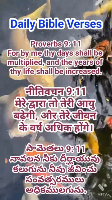 Word of God Jesus Christ, Proverbs 9 : 10 - 12. смотреть онлайн