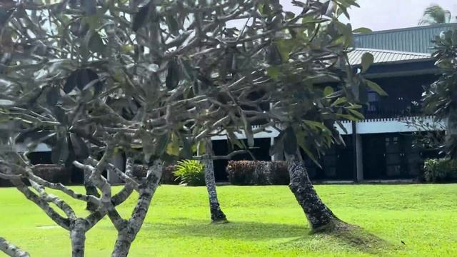 ОТДЫХ на ФИДЖИ.#путешествия #австралия #фиджи смотреть онлайн