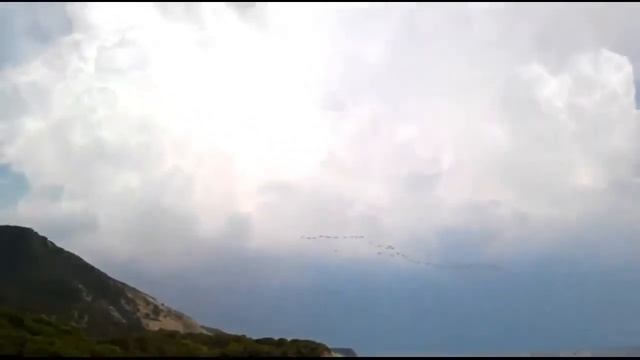 Журавель смотреть онлайн