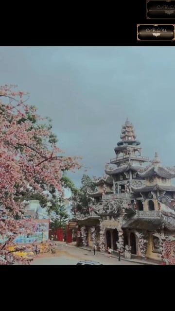 Viếng chùa Linh Phước (chùa ve chai) Đà Lạt. #chuavechai #cobalanho смотреть онлайн