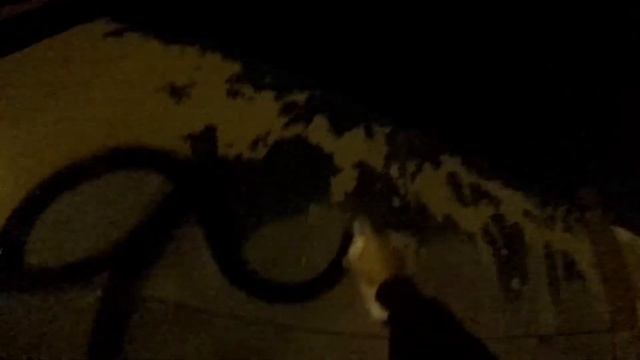 RGV GRAFFITI ASEKO LGK .. MESK LGK IFC.. ILLEGAL BOMBING 2021 смотреть онлайн