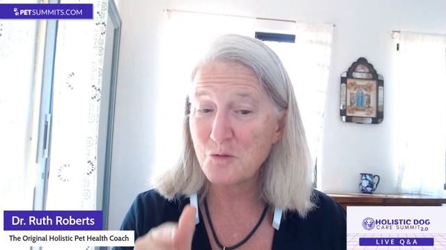 Holistic Dog Care Summits Day 2 Live Q&A смотреть онлайн
