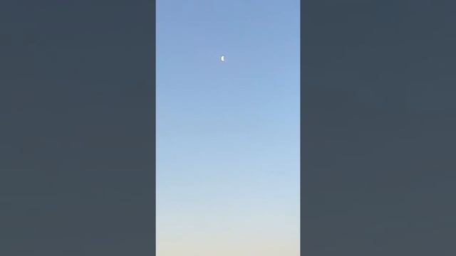 Утро в поле смотреть онлайн