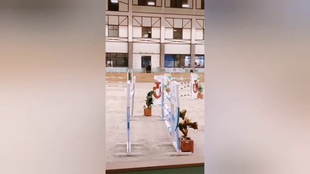 Конкур нарезка 🐴❤️ смотреть онлайн