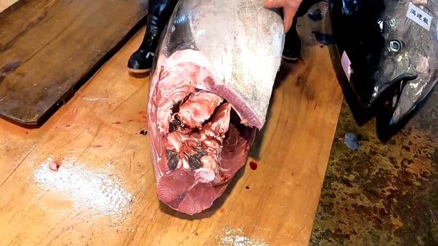 Cutting Skills of over 250 kg, Giant Bluefin Tuna (Bluefin Tuna) смотреть онлайн