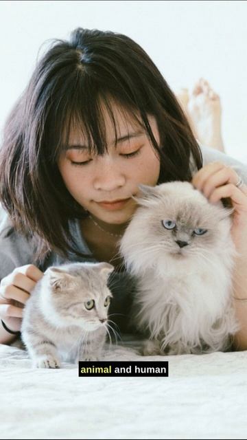 Pets & Antimicrobial Resistance #shorts #pets #dogs #cats #petownership смотреть онлайн