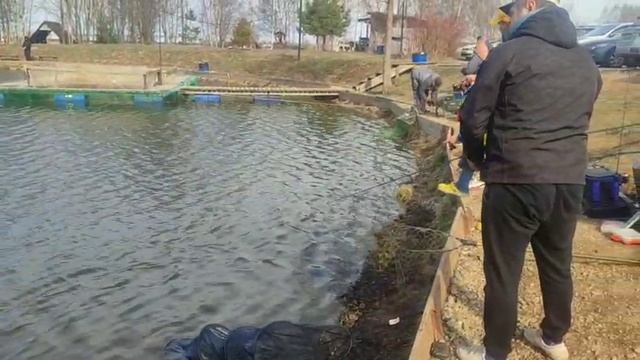 WhatsApp Video 2025-04-15 at 10.04.34 смотреть онлайн