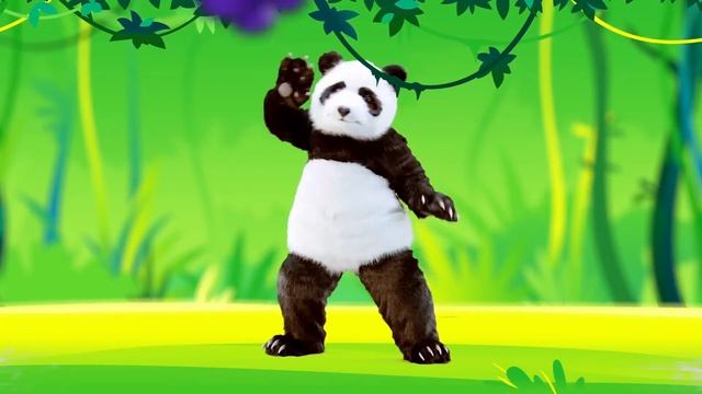 Какво яде пандата? (песничка) смотреть онлайн